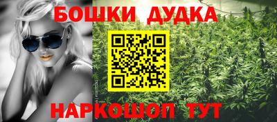 ГАЛЛЮЦИНОГЕННЫЕ ГРИБЫ Свободный