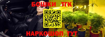 ГАЛЛЮЦИНОГЕННЫЕ ГРИБЫ Свободный
