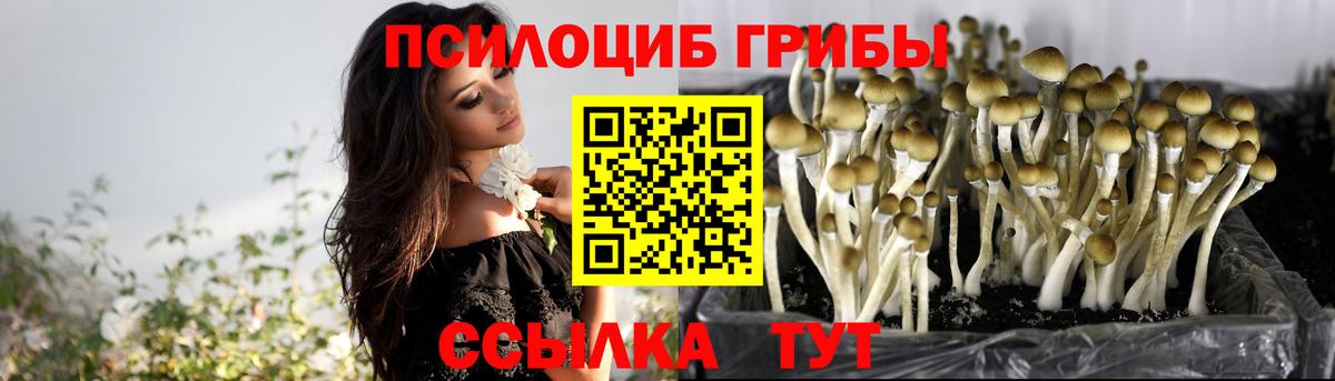 Отрадный  Псилоцибиновые грибы ЛСД  Псилоцибиновые грибы MAGIC MUSHROOMS  Вход с VPN 